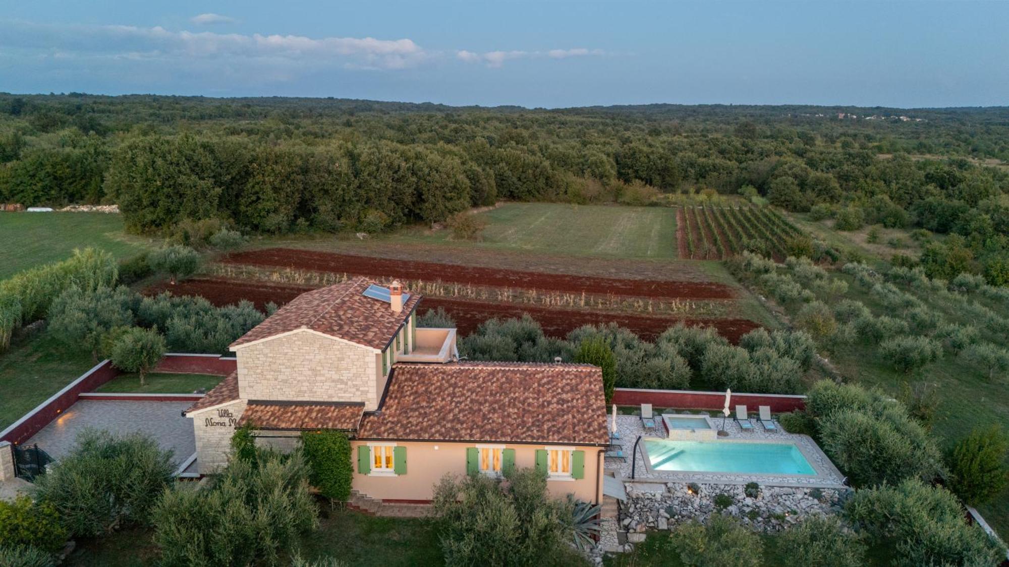 Villa Nona Marija Sveti Lovreč Pazenatički エクステリア 写真