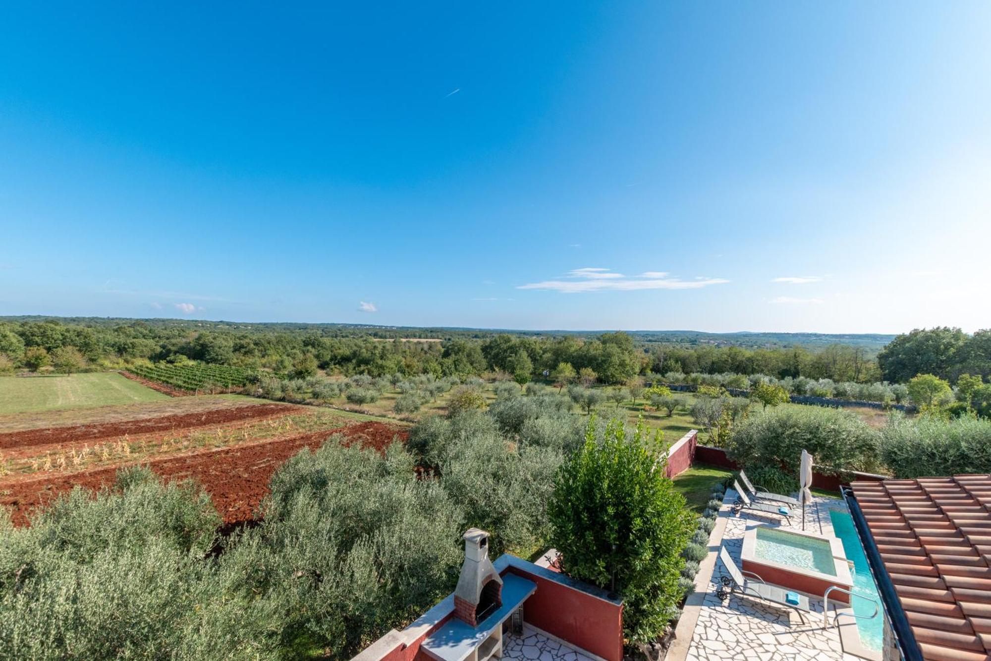 Villa Nona Marija Sveti Lovreč Pazenatički エクステリア 写真